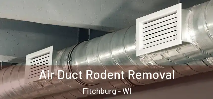  Air Duct Rodent Removal Fitchburg - WI