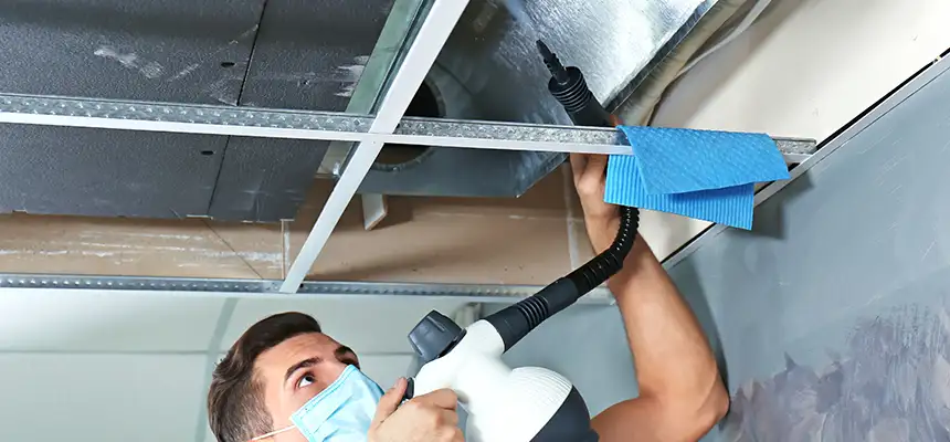 Our Air Duct Rodent Removal Services in Fitchburg, WI