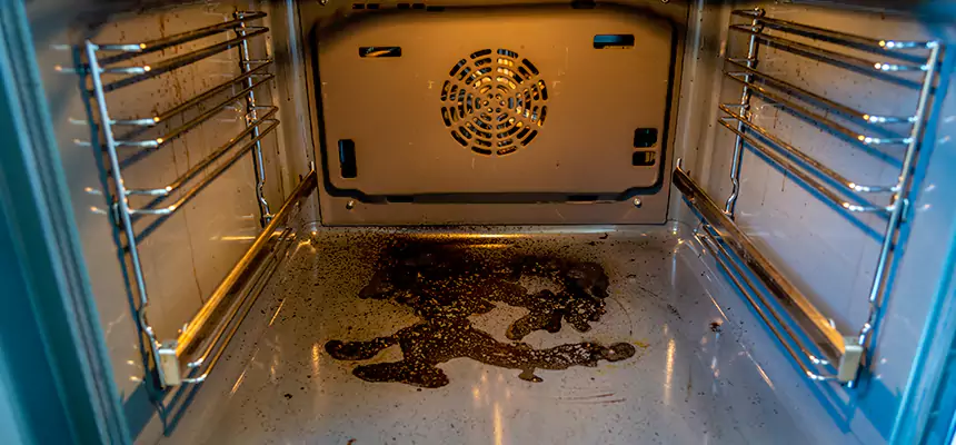 Our Dryer Vent Mold Cleaning Services in Fitchburg, WI