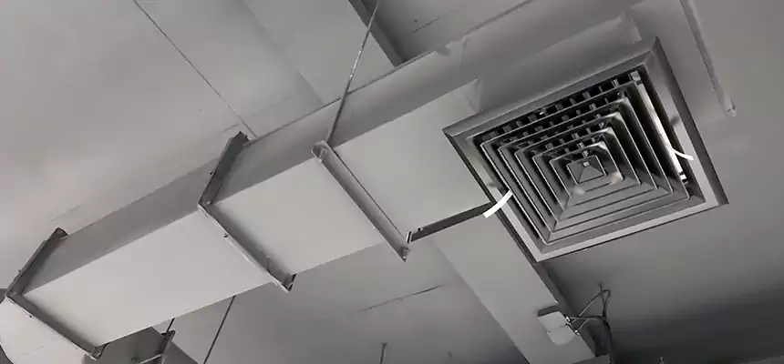 Our Pest Removal From Ducts Services in Fitchburg, WI