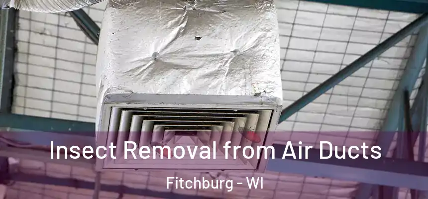 Insect Removal from Air Ducts Fitchburg - WI