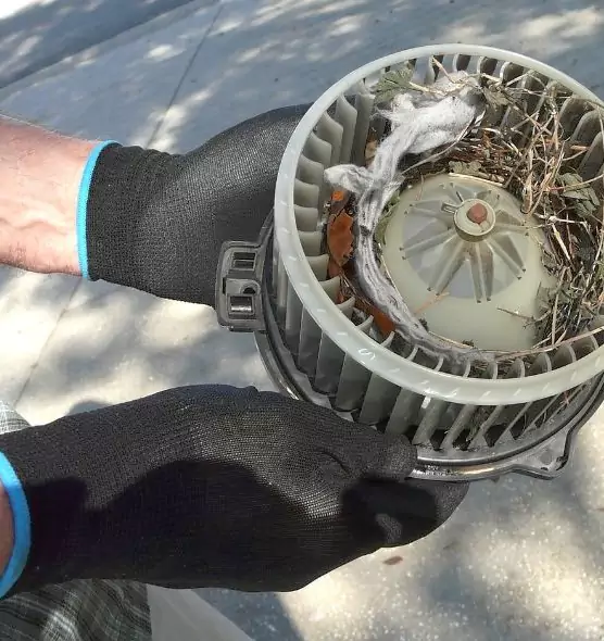 About Air Duct Rat Removal in Fitchburg, WI